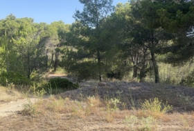 Albinyana 660000&nbsp;m²