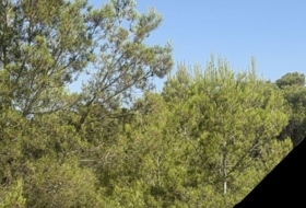 Albinyana 660000&nbsp;m²