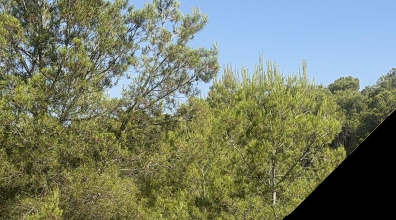 Tarragona - Albinyana - 660000m2