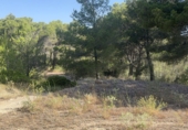 Terreno no urbanizable en venta en Albinyana ref: TR415664 foto