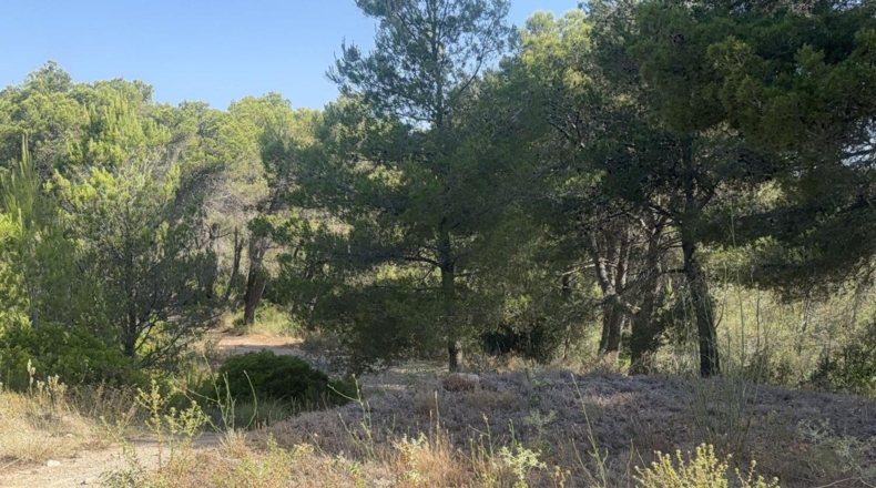 Tarragona - Albinyana - 660000m2