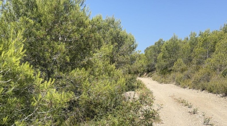Tarragona - Albinyana - 660000m2