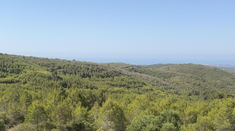 Tarragona - Albinyana - 660000m2