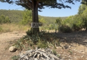 Terreno no urbanizable en venta en Albinyana ref: TR415664 foto