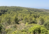 Terreno no urbanizable en venta en Albinyana ref: TR415664 foto