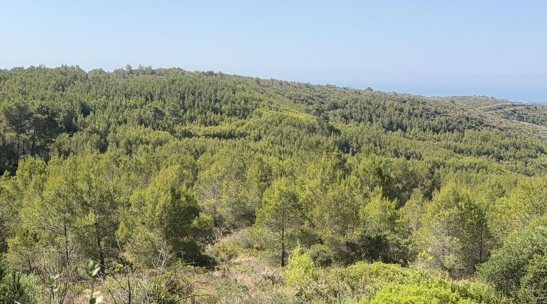 Tarragona - Albinyana - 660000m2