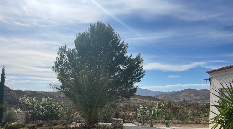 Almería - Sorbas - 15152m2