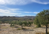 Casa de campo con terreno en venta en la España, Sorbas, ref: TR415666 foto