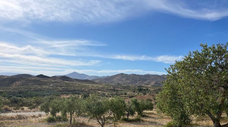 Almería - Sorbas - 15152m2