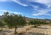 Casa de campo con terreno en venta en la España, Sorbas, ref: TR415666 foto