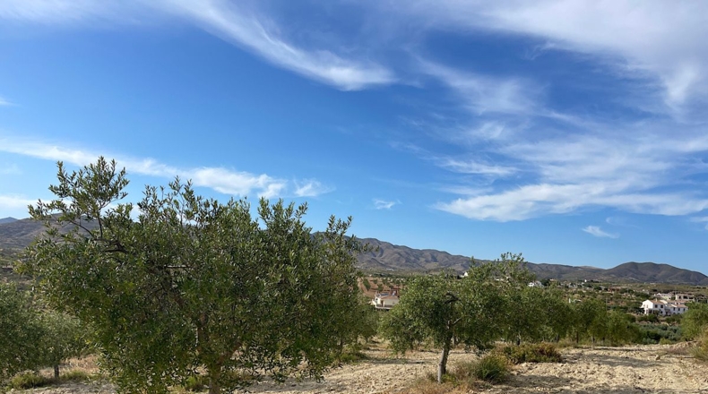 Almería - Sorbas - 15152m2