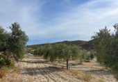Casa de campo con terreno en venta en la España, Sorbas, ref: TR415666 foto
