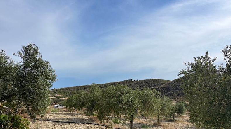 Almería - Sorbas - 15152m2