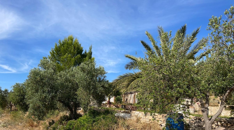 Almería - Sorbas - 15152m2