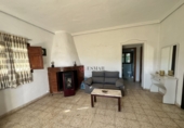Chalet independiente con terreno en venta en Algímia d'Alfara ref: TR402363 foto