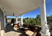 Chalet independiente con terreno en venta en Algímia d'Alfara ref: TR402363 foto