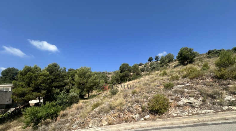 València - Algar de Palància - 562m2