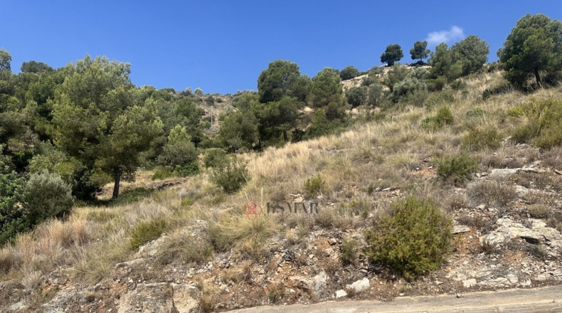 València - Algar de Palància - 562m2