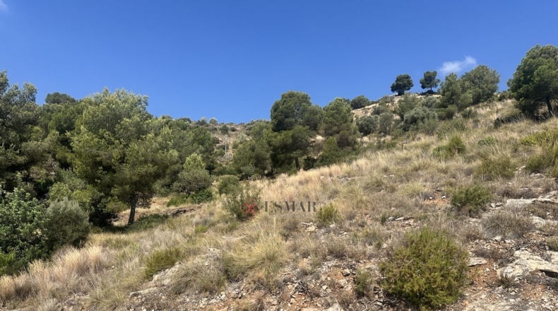 València - Algar de Palància - 562m2