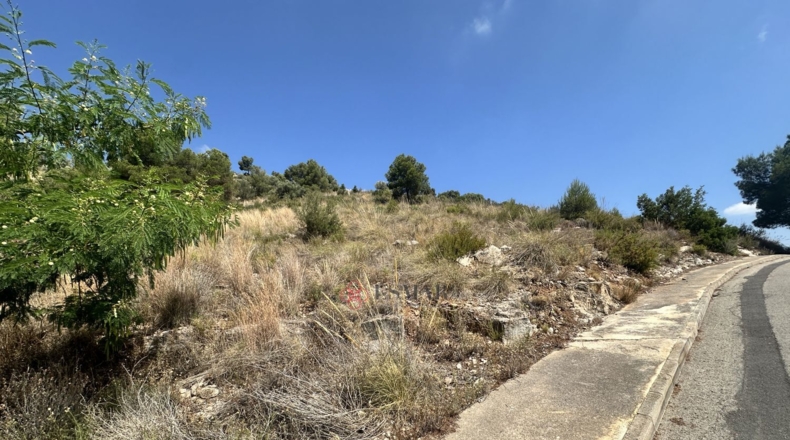 València - Algar de Palància - 562m2