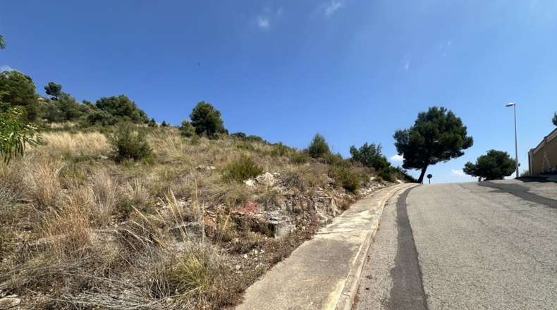 València - Algar de Palància - 562m2