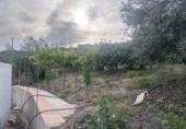 Finca rústica en venta en Alcaucín ref: TR415685 foto