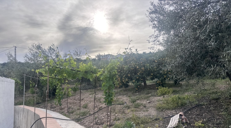 Malaga - Alcaucín - 2448m2