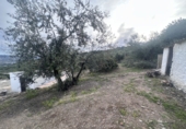Finca rústica en venta en Alcaucín ref: TR415685 foto