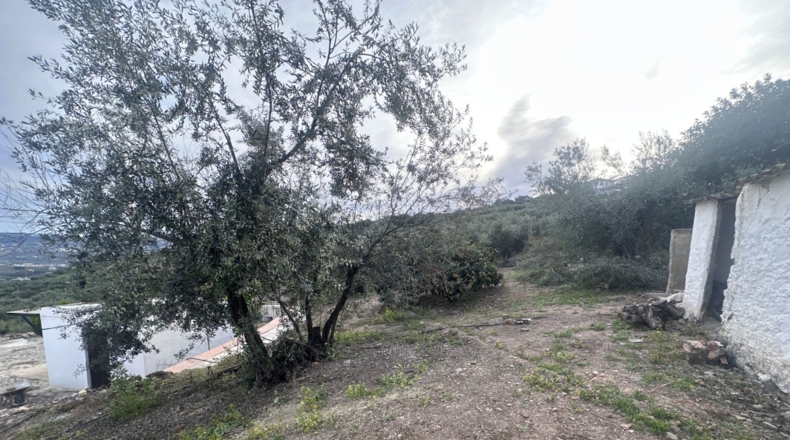 Malaga - Alcaucín - 2448m2