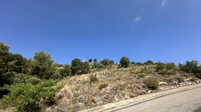 València - Algar de Palància - 562m2