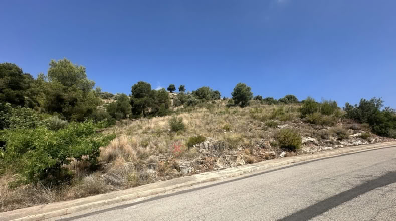 València - Algar de Palància - 562m2
