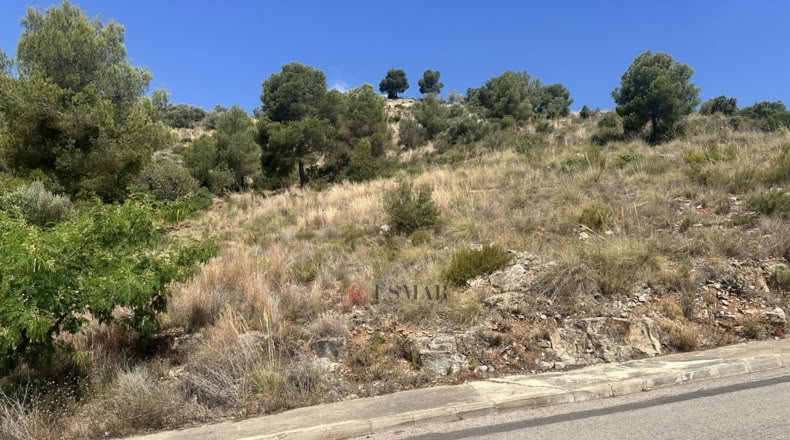 València - Algar de Palància - 562m2