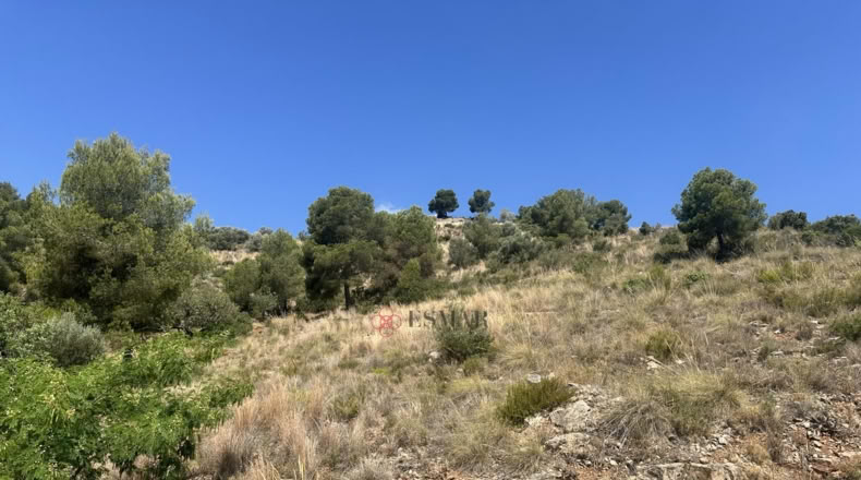 València - Algar de Palància - 562m2