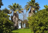 Casa de camp amb terreny en venda a la , Almonte, ref.: TR415698 foto