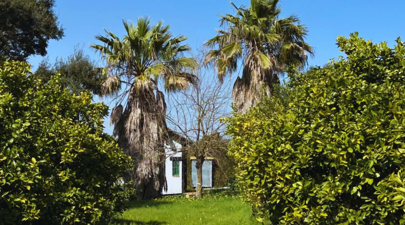 Huelva - Almonte - 6700m2