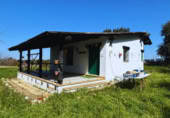 Casa de camp amb terreny en venda a la , Almonte, ref.: TR415698 foto
