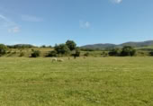 Non-developable land for sale on Diseminados 1 ARRIOLA, Arriola, ref: TR415702 photo
