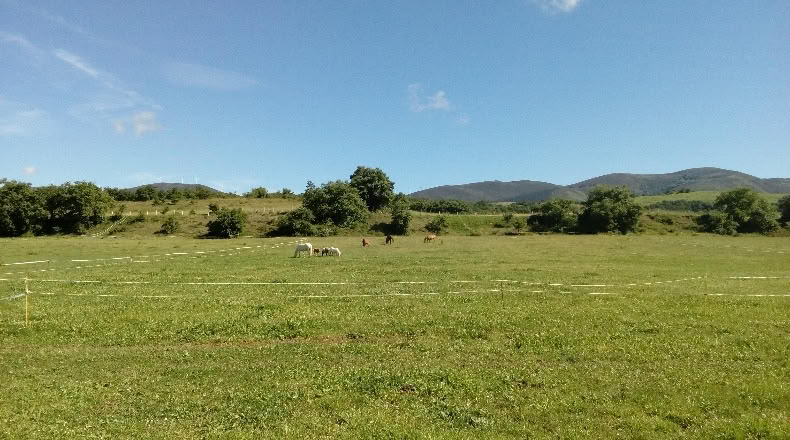 Álava - Arriola - 57710m2