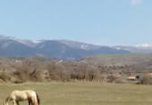 Non-developable land for sale on Diseminados 1 ARRIOLA, Arriola, ref: TR415702 photo