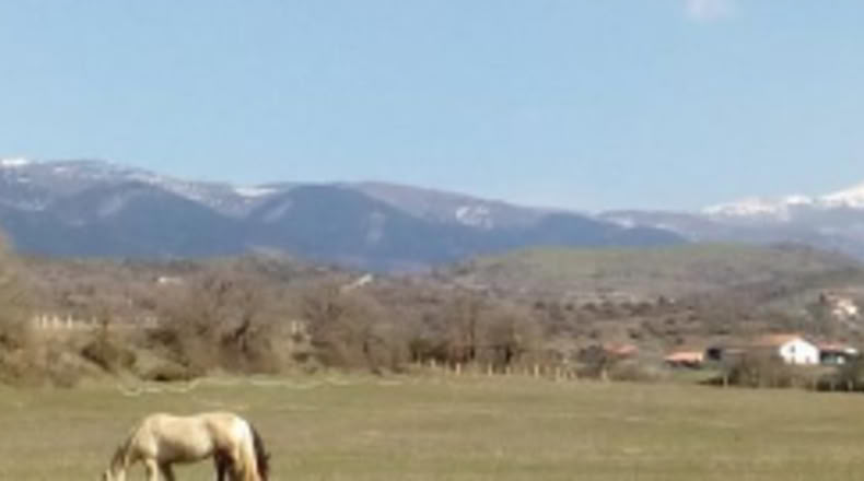 Álava - Arriola - 57710m2