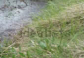 Non-developable land for sale on Diseminados 1 ARRIOLA, Arriola, ref: TR415702 photo
