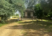 Casa de camp amb terreny en venda a la , Almonte, ref.: TR415696 foto