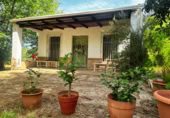 Casa de camp amb terreny en venda a la , Almonte, ref.: TR415696 foto