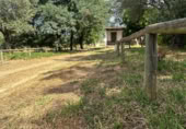 Casa de camp amb terreny en venda a la , Almonte, ref.: TR415696 foto
