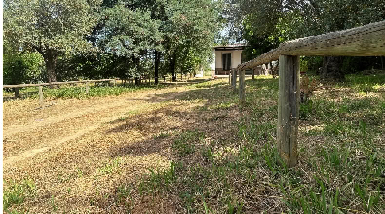 Huelva - Almonte - 3700m2