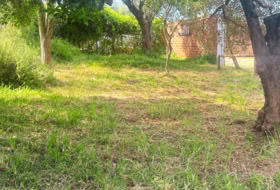 Almonte 3700&nbsp;m² 