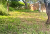 Casa de camp amb terreny en venda a la , Almonte, ref.: TR415696 foto