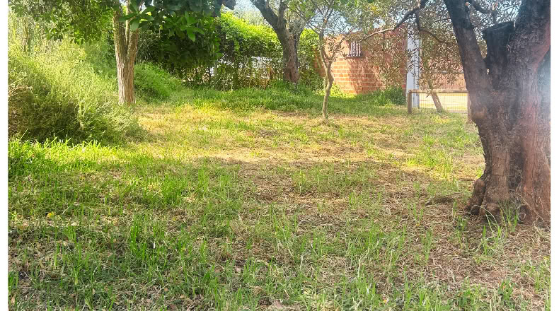 Huelva - Almonte - 3700m2