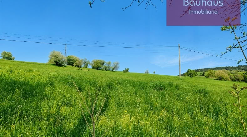 Cantabria - San Mamés de Meruelo - 4770m2