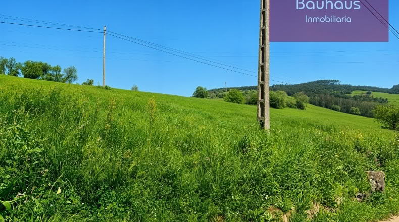 Cantabria - San Mamés de Meruelo - 4770m2